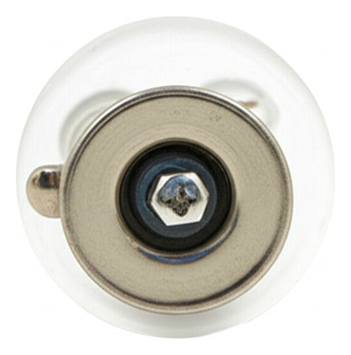 Ampolleta 12v21w Original Vw