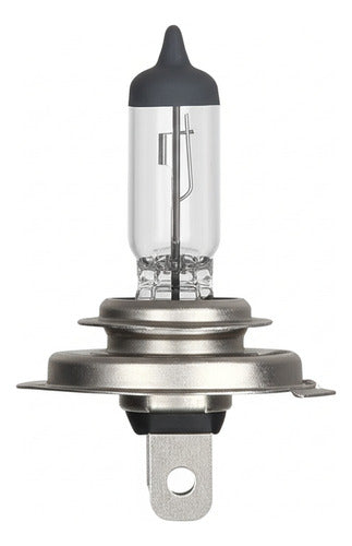 Ampolleta Halogena Original Vw