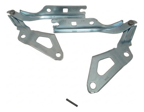 Bisagra Capo Original