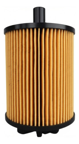 Filtro Aceite 071115562a Original Jetta 2020