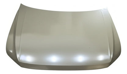 Capo Delantero Volkswagen