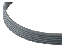 Correa Poly-v 6q0260849e Original