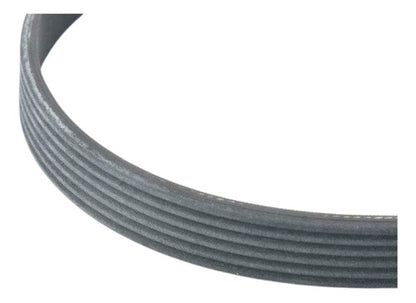 Correa Poly-v 6q0260849e Original