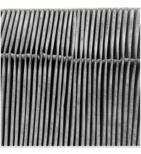 Filtro Antipolvo Y Antipolne Vw Original