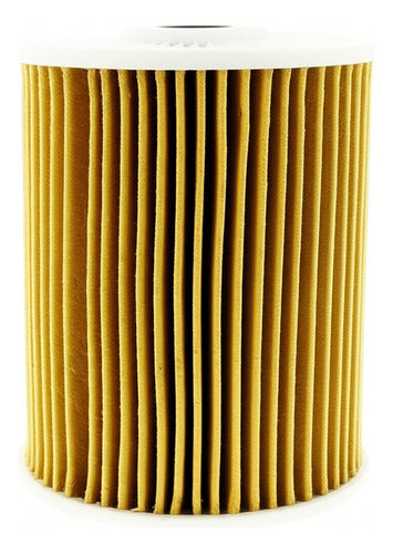 Filtro Aceite 071115562c Original Tiguan