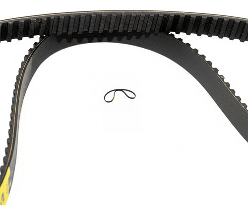 Correa Dentada 03l109119e Original Amarok
