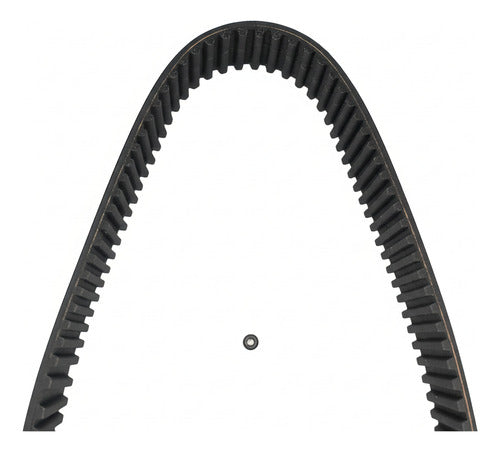 Correa Dentada 03l109119e Original Amarok