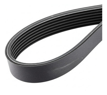 Banda Accesorios 6rf260849 Original Polo
