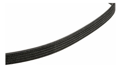 Correa Accesorios Poly V Volkswagen Original Jetta