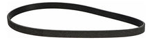Correa Accesorios Poly V Volkswagen Original Jetta