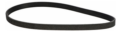 Correa Accesorios Poly V Volkswagen Original Jetta